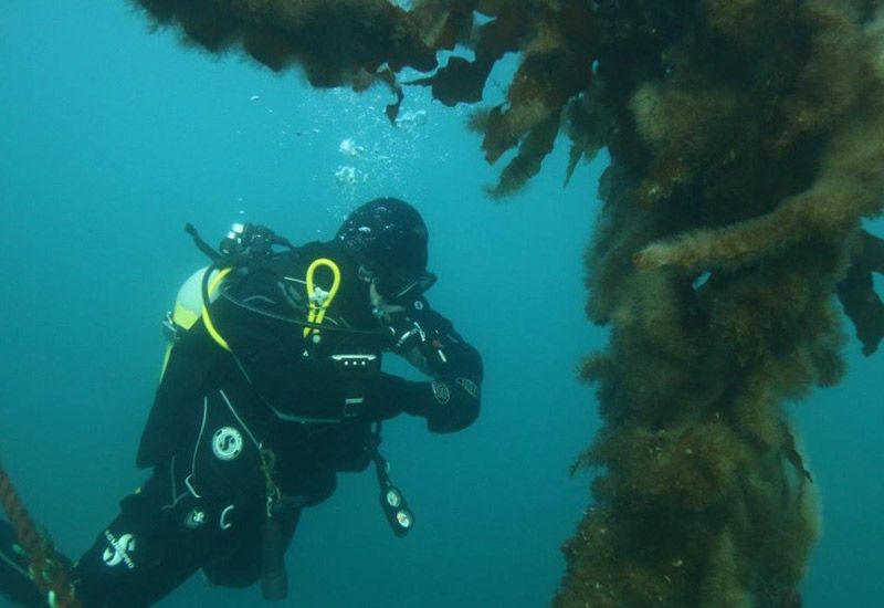 Island aktiviteter dykning