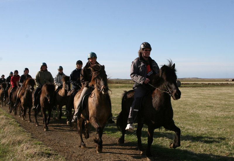 Upplev varma källor till häst