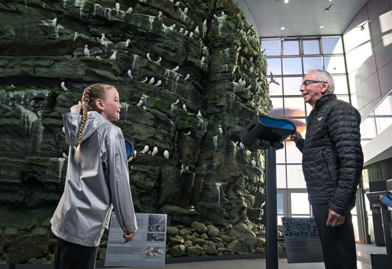 reykjavik aktiviteter