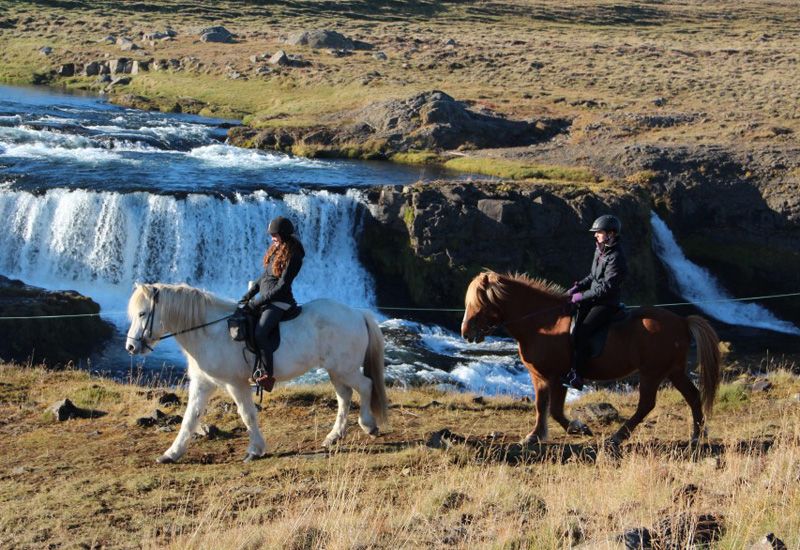 Islänning vid ångande vattenfall