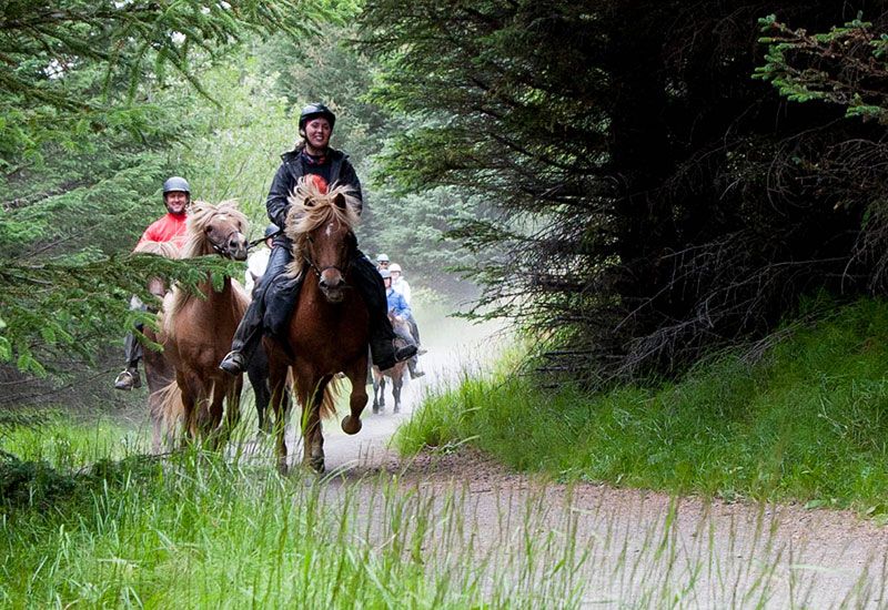 Ridtur för vana ryttare Island